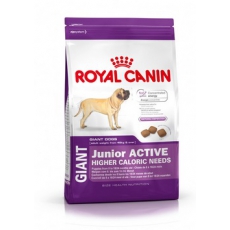 Royal Canin (Роял Канин) Гиант Юниор Актив (15 кг)